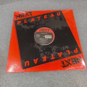 Antoinette Baby Make It Boom 12" Vinyl Single 1988 Next Plateau NP50089 Hip Hop image 1
