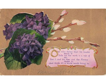Cartão-postal vintage de 1910 com poema "Violetas e Salgueiro-gato" e carimbo postal de Madison, Indiana.