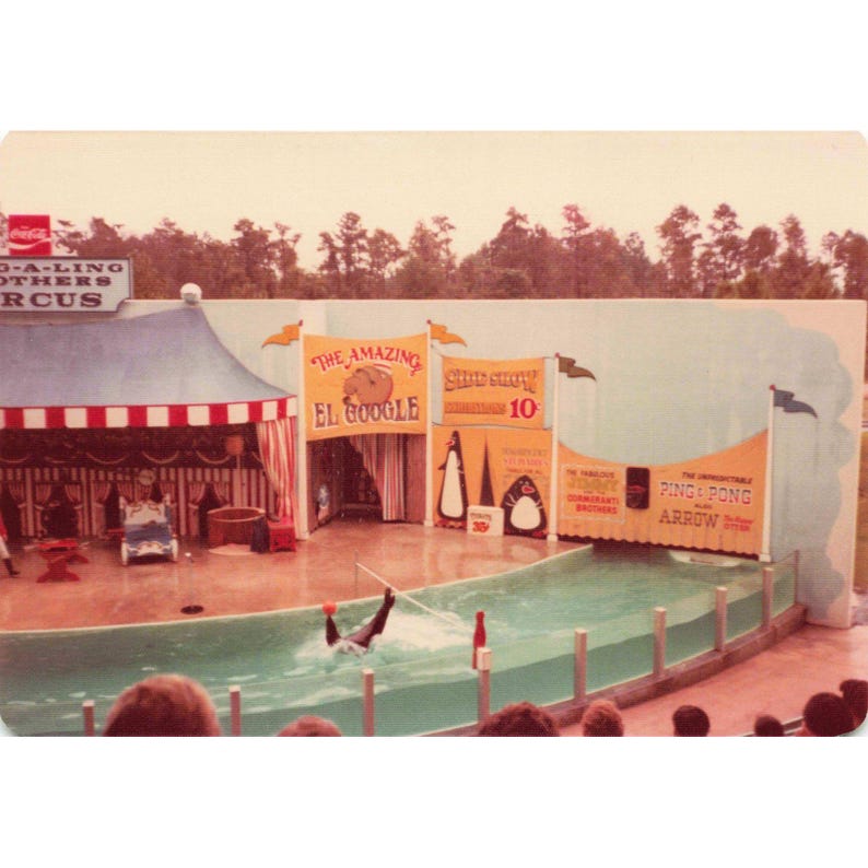 Lote de 4 fotos vintage de los años 70 del circo Ding-A-Ling Brothers, espectáculo secundario, acto de focas imagen 4