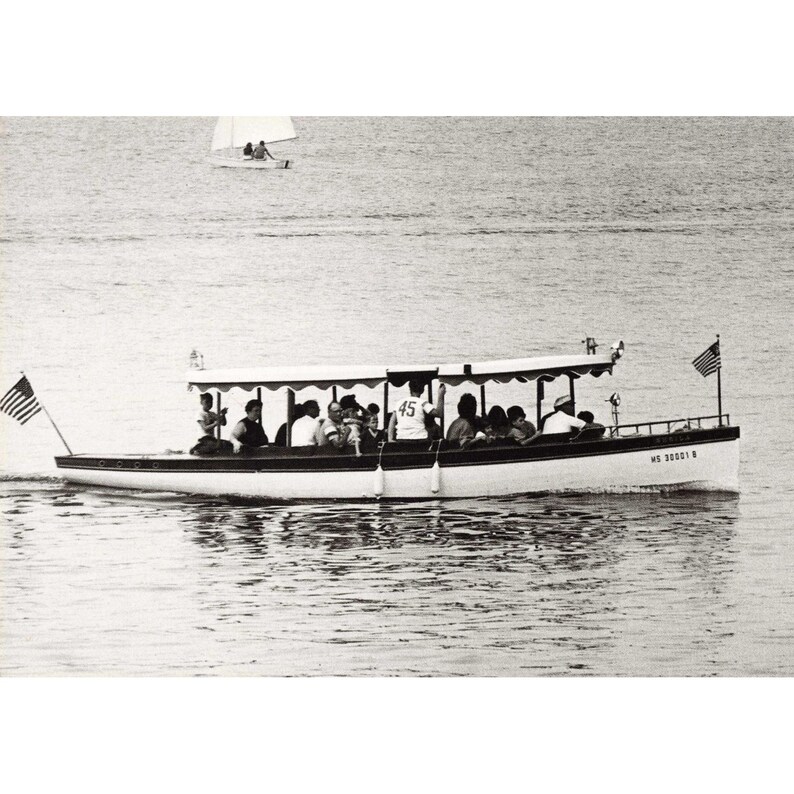 William H Tague, juego de 15 postales, Berkshires, Tanglewood, Leonard Bernstein, Naturaleza imagen 11
