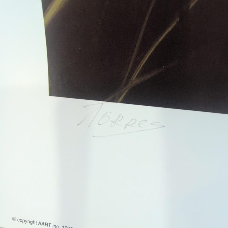 Sonia Torres Limited Ed signierter Kolibri Odontoglossum Crispum Künstlerdruck Bild 7