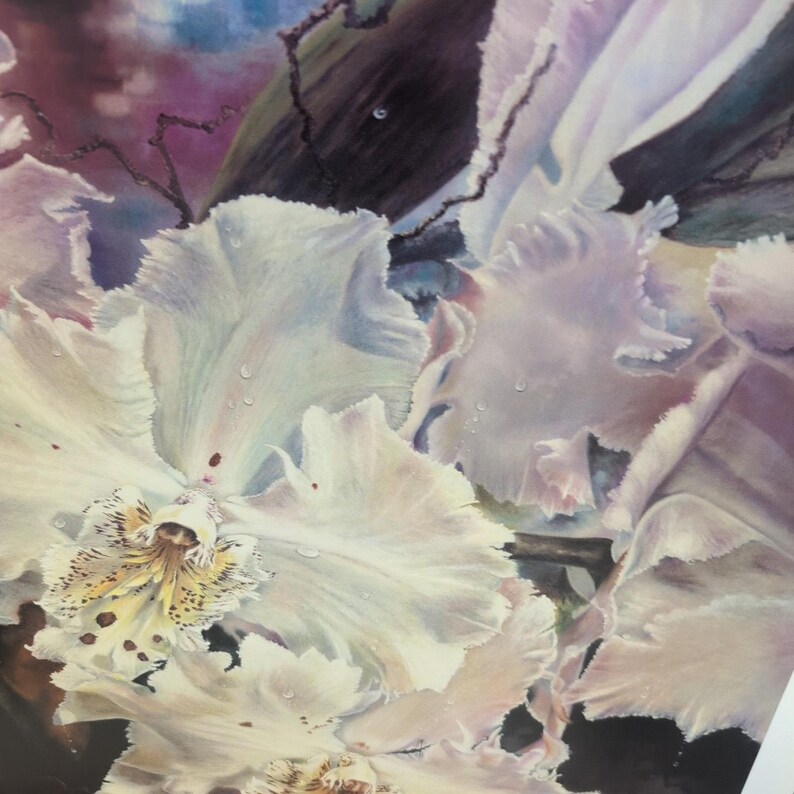 Sonia Torres Limited Ed signierter Kolibri Odontoglossum Crispum Künstlerdruck Bild 2
