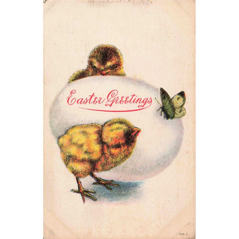 Cartolina di auguri pasquali vintage con pulcini gialli, farfalla e uovo 800-11, non spedita. immagine 1
