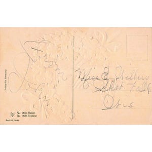 Vtg Birthday Greetings Postcard Embossed Hands PFB Germany Divided Back image 2