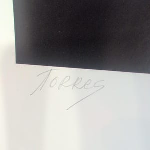 Sonia Torres Limited Edition Numbered, Signed Arabian Front Horse Artist's Print image 7
