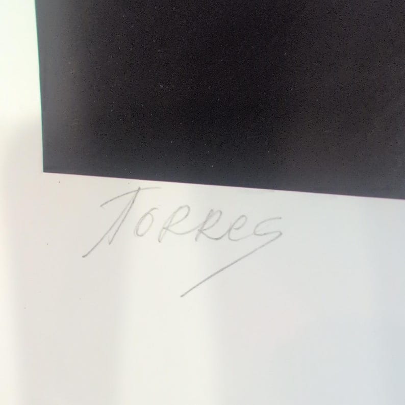 Sonia Torres Limited Edition Numbered, Signed Arabian Front Horse Artist's Print image 7