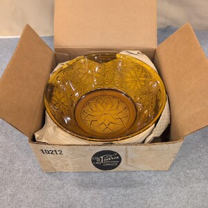 Ensemble de bols vintage Indiana Tiara en verre ambré floral en relief Service à dessert image 3