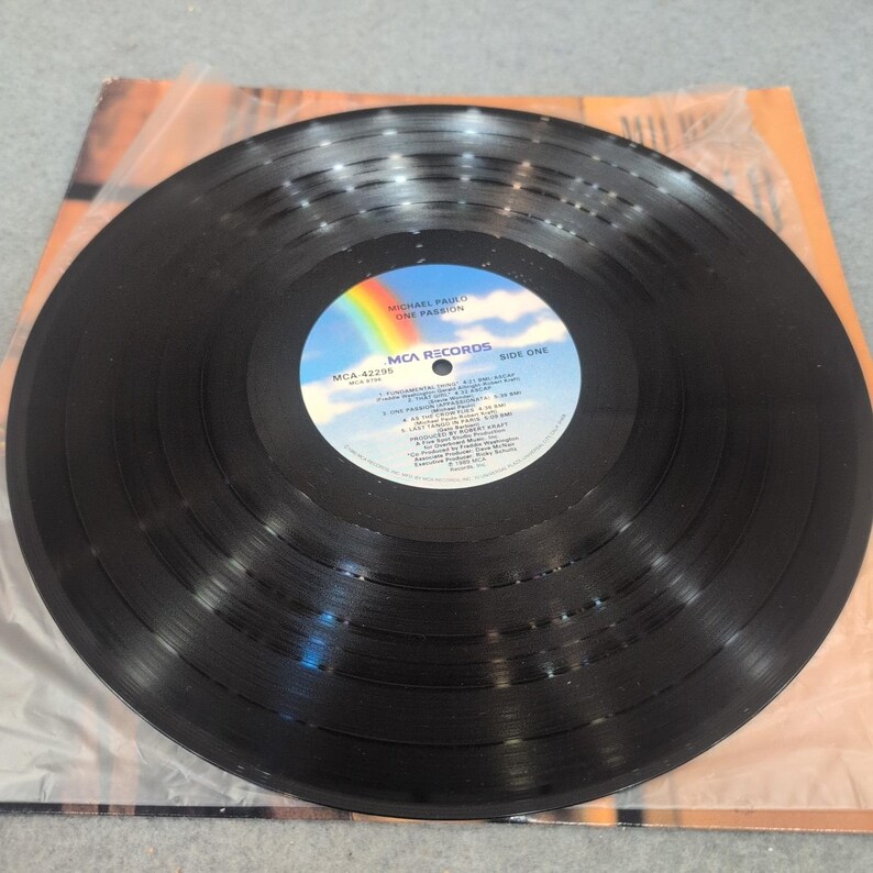Michael Paulo One Passion Vinyl LP Album MCA-42295 Smooth Jazz 1989 MCA Records image 3