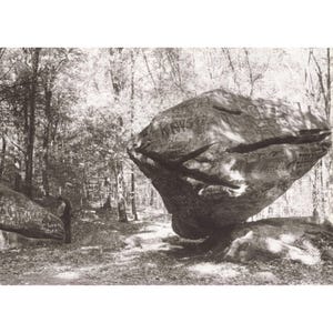 William H Tague, juego de 15 postales, Berkshires, Tanglewood, Leonard Bernstein, Naturaleza imagen 19