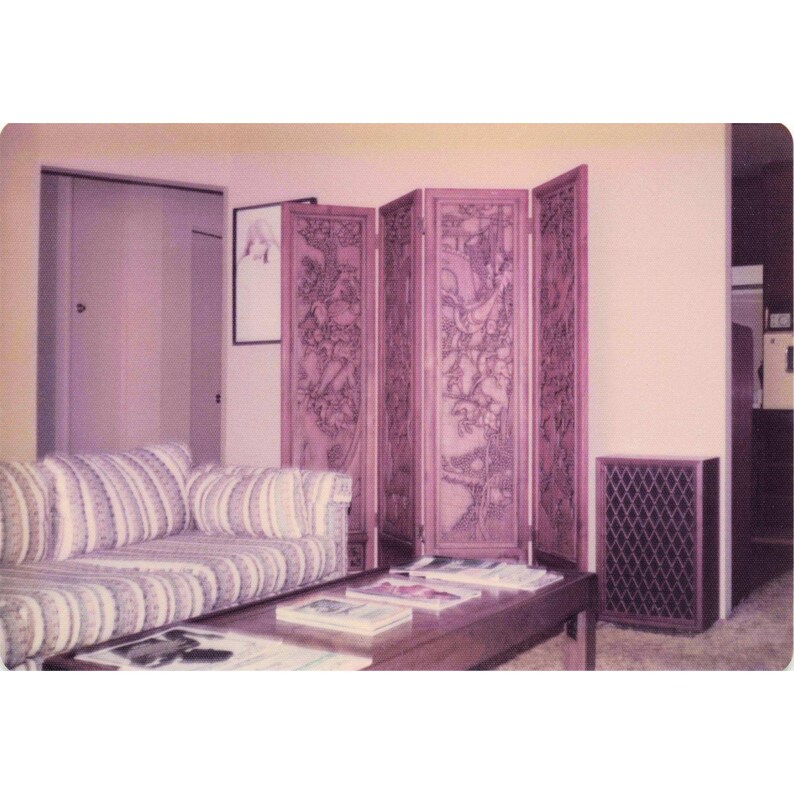 Lote de 8 fotos de interiores de casas vintage de los años 70, decoración asiática, USAF, 3.5x5 imagen 2