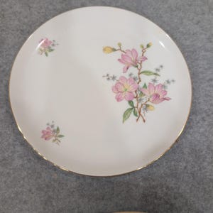 Eschenbach Bavaria Baronet China Floral Plates and Bowls Set of 4 P1 192 image 3
