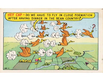 Vintage Baxtone Laff Gram Comic Postcard 120-C Duck Bean Country Humor VG+