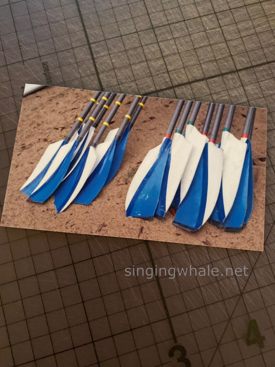 Photo magnet Wellesley College rowing oars, crew oars - Etsy 日本