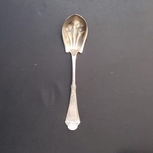 May include: A silver sugar spoon with a decorative handle and a wide, shallow bowl. The spoon is placed on a dark surface, with a patterned fabric in the background. The spoon's design suggests it is an antique or vintage item.