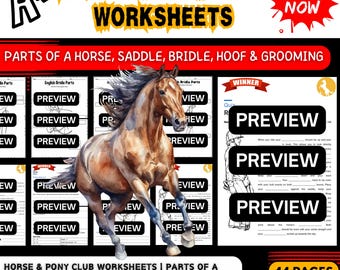 Horse Anatomy & Grooming Worksheets: Equine Education, Pony Club (PDF)
