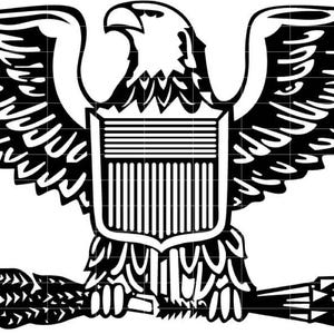May include: Black and white illustration of an eagle with outstretched wings, holding a bundle of arrows and an olive branch. The eagle has a shield on its chest with vertical and horizontal lines.