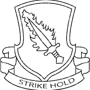 以下が含まれることがあります： 黒と白のエンブレム。盾に剣が突き刺さった炎のイラスト。下のバナーには「STRIKE HOLD」と書かれています。デザインは黒で縁取られています。