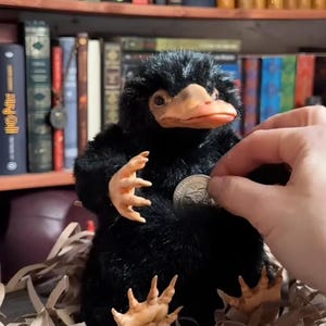 Könnte beinhalten: Ein schwarzes Plüschtier eines Nifflers mit einem braunen Schnabel und Füßen, das eine Münze hält. Das Spielzeug steht auf geschreddertem Papier, mit einem Bücherregal im Hintergrund. Der Niffler ist eine Kreatur aus der Harry-Potter-Reihe.