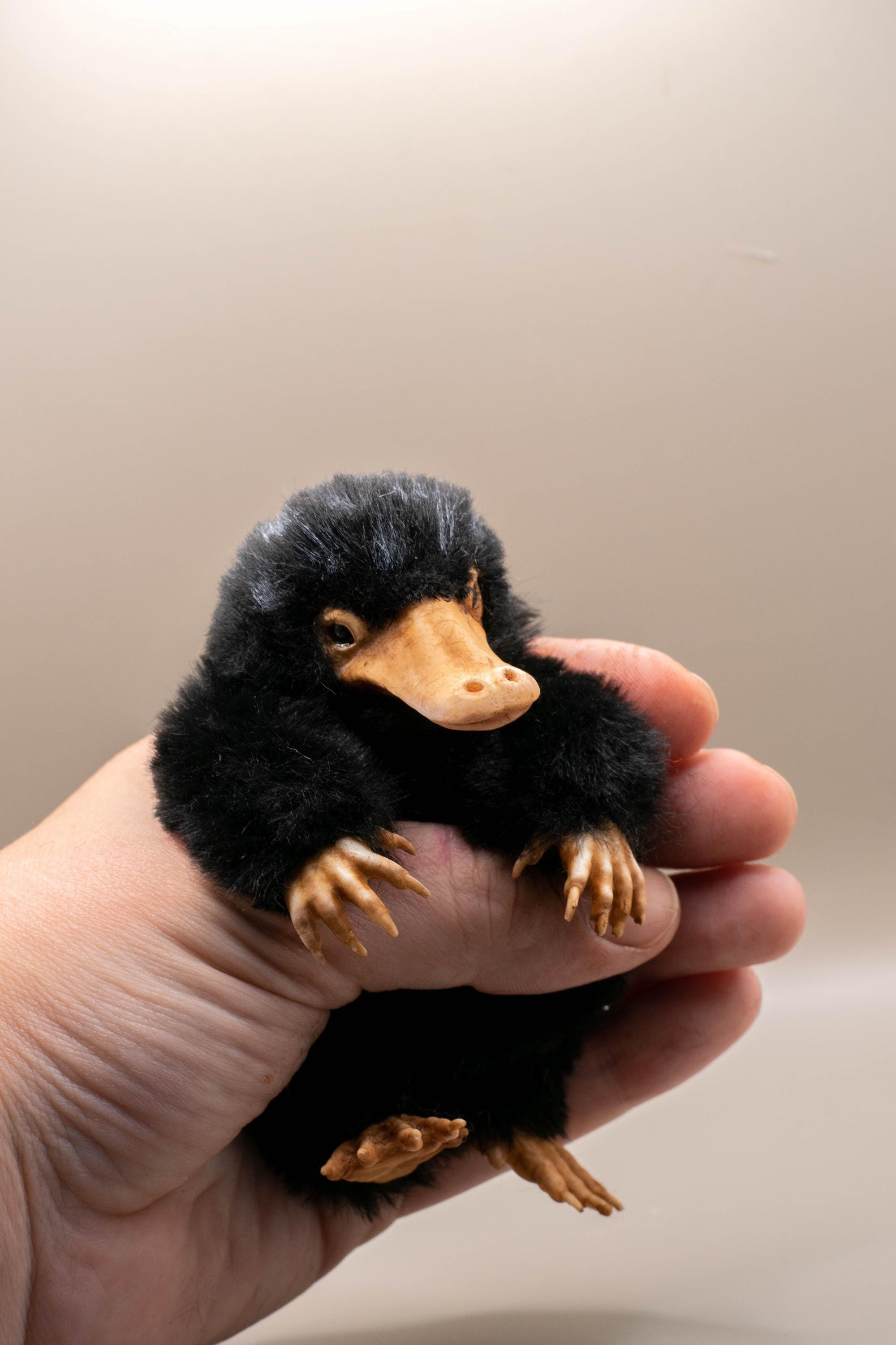 Roblox ロブロックス　ぬいぐるみソナリアの生き物　mylo plush Roblox ロブロックス ぬいぐるみソナリアの生き物 mylo plush What up