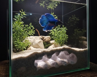 Lunar Burrow Aquarium Cave | Substrate Level Viewing Tunnel - Modern Aquascape decor - Fish and Shrimp Hideout