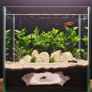 Peut inclure: Un aquarium rectangulaire en verre avec un écosystème sous-marin miniature. Le réservoir comprend des poissons vivants, des plantes vertes, des roches blanches et un substrat sablonneux. Une structure en forme de grotte offre une cachette aux poissons.