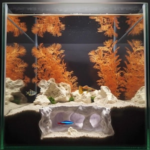 May include: A rectangular glass aquarium with a dark background, featuring orange artificial plants, white rocks, and a sandy substrate. Several small fish, including a neon tetra, swim in the tank. A cave-like structure provides a hiding place.