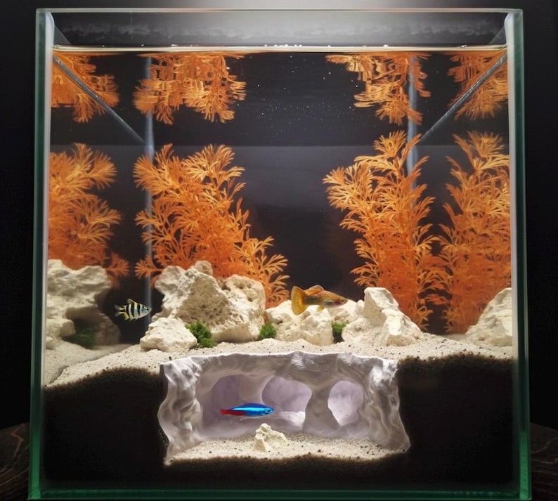 May include: A rectangular glass aquarium with a dark background, featuring orange artificial plants, white rocks, and a sandy substrate. Several small fish, including a neon tetra, swim in the tank. A cave-like structure provides a hiding place.