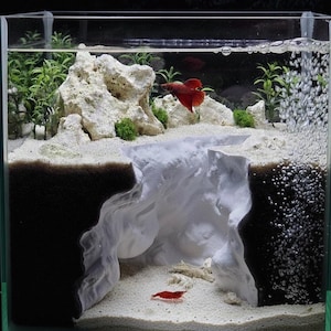 Puede incluir: Un pequeño acuario de vidrio transparente con una vibrante escena submarina. Presenta un pez betta rojo, formaciones rocosas blancas, plantas verdes y un camarón rojo. Las burbujas ascienden desde el fondo, creando un ambiente activo y visualmente atractivo.