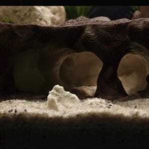 Underwater Lost City of Atlantis Cave - The Sunken Ruins | Aquarium Decoration - Shrimp, Fish Tank and Terranium Aquascape image 9