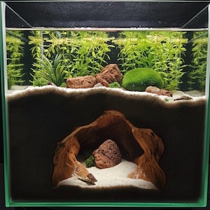 May include: A small, square aquarium with a layered substrate. The top layer is filled with green aquatic plants, rocks, and a moss ball. The bottom layer features a dark substrate and a wooden cave structure, creating a natural underwater environment.