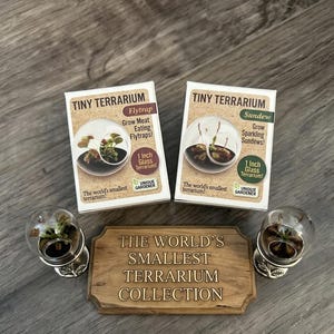 Kit de cultivo de Venus atrapamoscas – Kit de inicio para plantas carnívoras – Planta atrapamoscas viva con tierra y maceta – Kit para principiantes (tamaño pequeño)