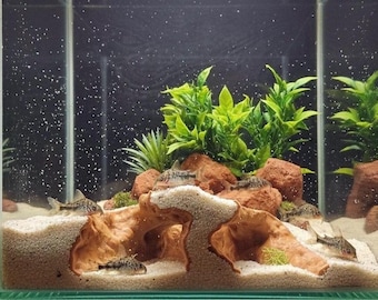 La Sierra Hundida: Acuario subacuático realista para vida acuática y terrarios / Escondite de roca natural
