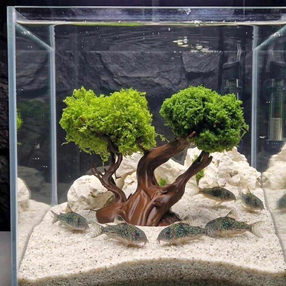 Aquarium Bonsai Tree Decor – Shrimp & Betta Fish Tank Aquascape ...