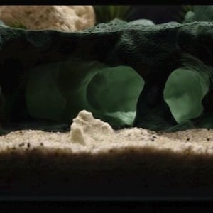 Underwater Lost City of Atlantis Cave - The Sunken Ruins | Aquarium Decoration - Shrimp, Fish Tank and Terranium Aquascape hunter green