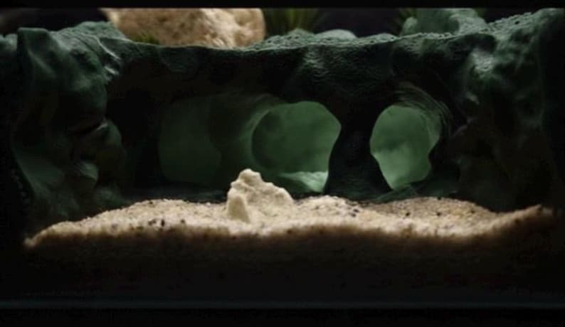 Underwater Lost City of Atlantis Cave - The Sunken Ruins | Aquarium Decoration - Shrimp, Fish Tank and Terranium Aquascape hunter green