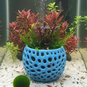 May include: A blue, perforated ceramic pot filled with aquatic plants, including red and green varieties, sits in an aquarium. A green marimo moss ball rests on the white gravel substrate. Small red shrimp are visible.