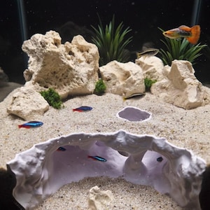 May include: An aquarium scene with a sandy bottom, beige rocks, and green plants. Several small, colorful fish swim in the water. A white, cave-like structure is in the foreground, and the background is dark.