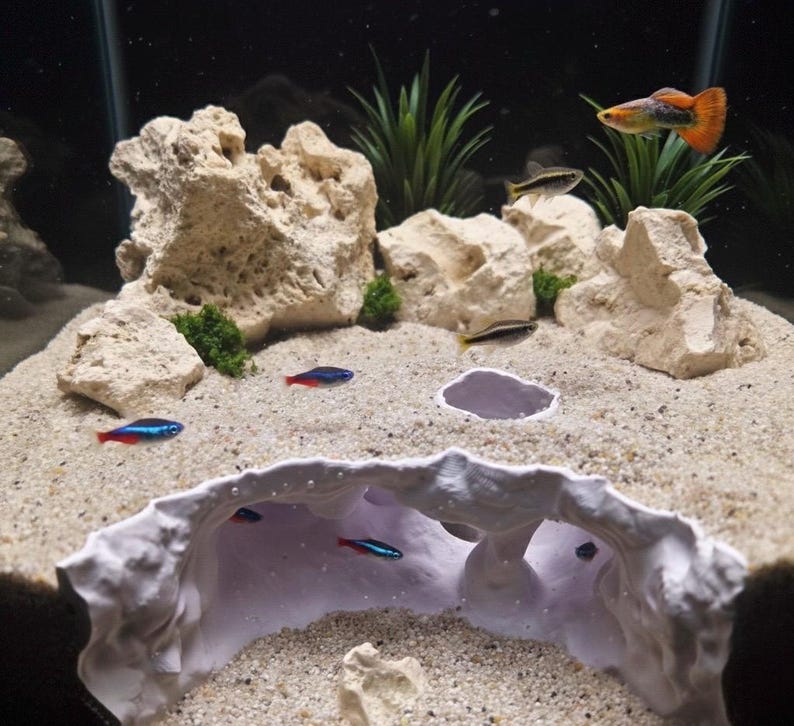 May include: An aquarium scene with a sandy bottom, beige rocks, and green plants. Several small, colorful fish swim in the water. A white, cave-like structure is in the foreground, and the background is dark.