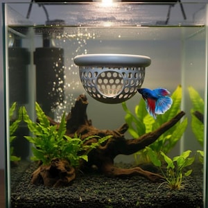 Floating Betta Fish Bungalow & Feeder Ring - Betta Rest Hammock