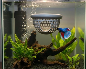Floating Betta Fish Bungalow & Feeder Ring - Betta Rest Hammock