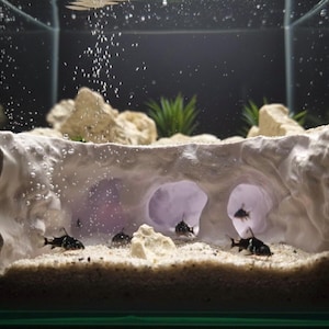 May include: An aquarium scene featuring several small, black and white fish swimming in a tank. The tank includes a decorative, cave-like structure, sand, rocks, and artificial plants. Bubbles rise from the bottom, creating an underwater environment.