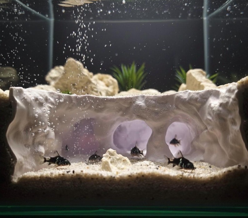 May include: An aquarium scene featuring several small, black and white fish swimming in a tank. The tank includes a decorative, cave-like structure, sand, rocks, and artificial plants. Bubbles rise from the bottom, creating an underwater environment.