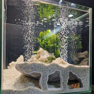 May include: A clear glass aquarium with a sandy substrate, decorative rock formations, and artificial plants. Bubbles rise from an air pump. A small, orange and black striped fish is visible inside a cave structure.