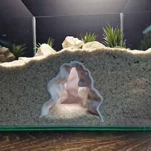 Peut inclure: Aménagement de terrarium avec une structure de grotte blanche. La grotte est intégrée dans du sable, avec de petits rochers et des plantes vertes. L'enceinte en verre offre une vue claire de l'intérieur, créant un paysage miniature.
