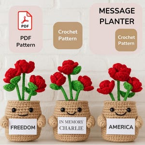 Op de afbeelding: Drie gehaakte plantenbakken met lachende gezichten, elk met een bord met tekst. De plantenbakken zijn gevuld met rode gehaakte bloemen met groene stelen en bladeren. De borden luiden "FREEDOM", "IN MEMORY CHARLIE" en "AMERICA".