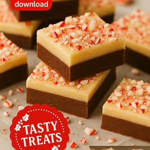 May include: Squares of two-toned fudge with a chocolate base and a vanilla top, sprinkled with crushed peppermint candies. The image includes text that reads "Holiday Recipes" and "Tasty Treats". A red icon says "Instant download".