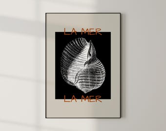 1 Seashell Art Print, Beach House Prints, Ocean Themed Wall Prints, Seashell Posters, Coastal Art, Modern Wall Art, Neutral Wall Art