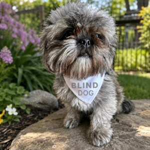 盲導犬用バンダナ｜特別なニーズを持つ犬のための反射材付き高視認性安全装備