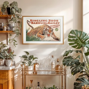 Barnum Tiger Poster - Etsy