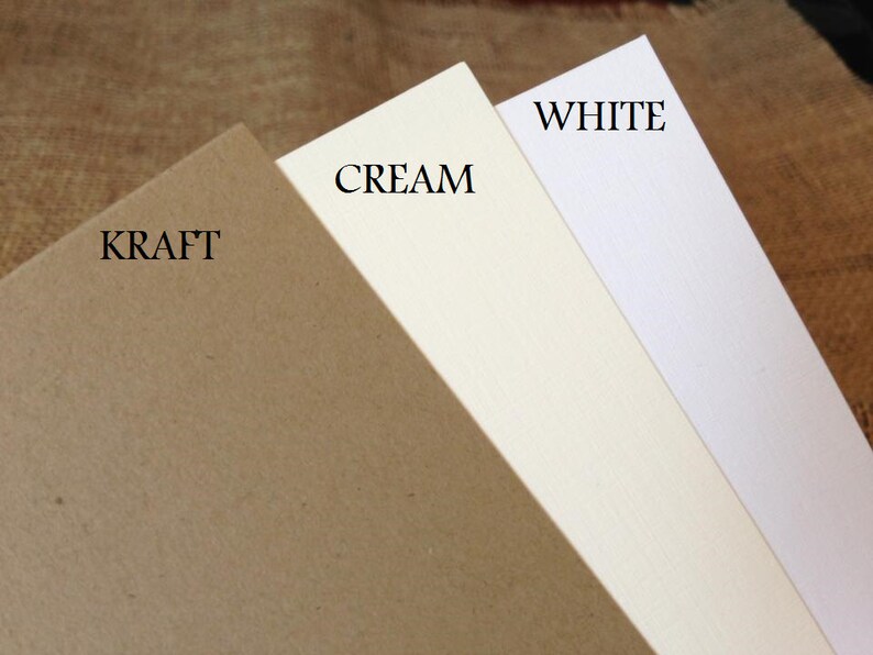 Engagement Thank You Cards with Envelopes Wedding Shower Engagement and Mrs Future Mr